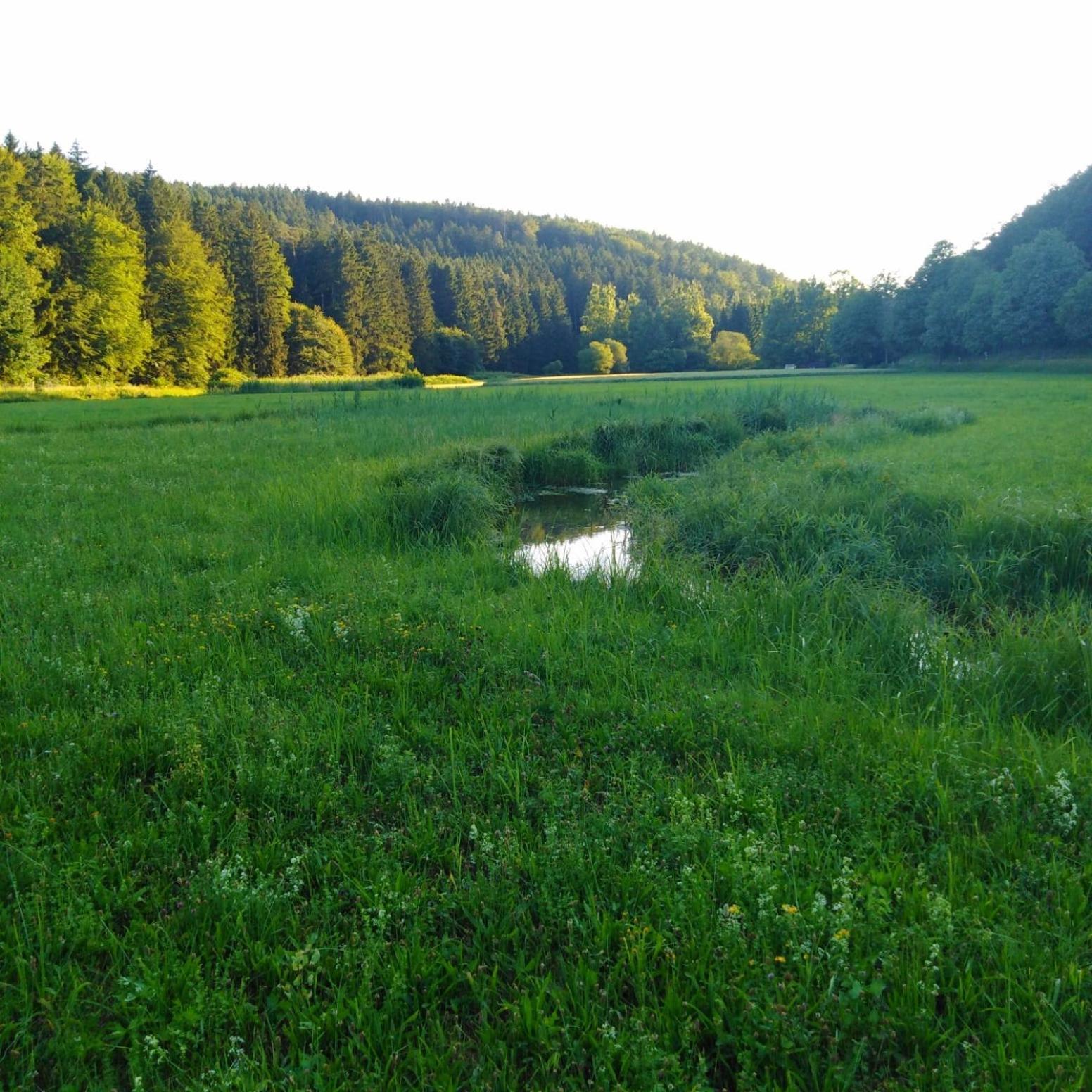 Am Bach *